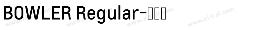 BOWLER Regular字体转换